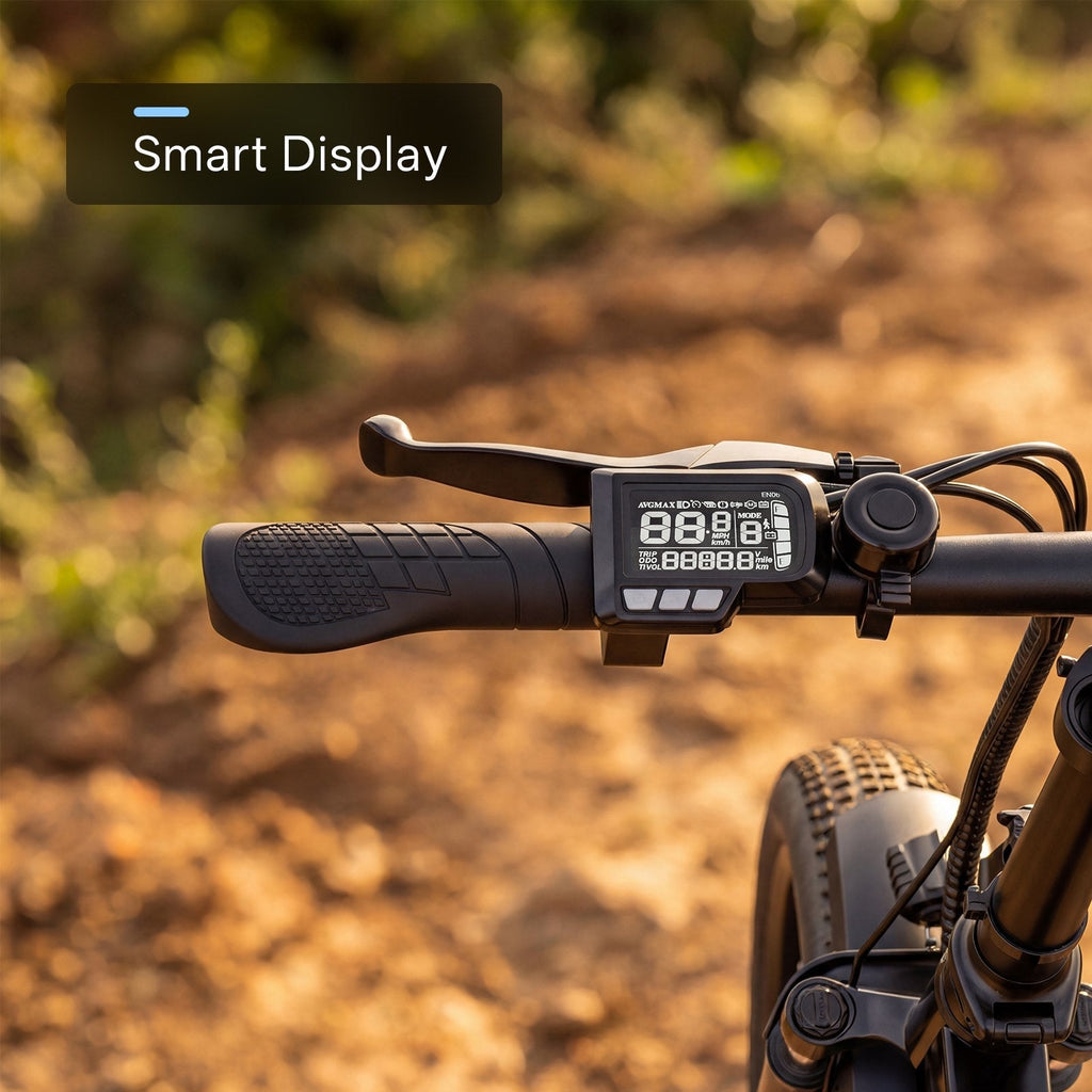 Combo Folding Ebike EK4