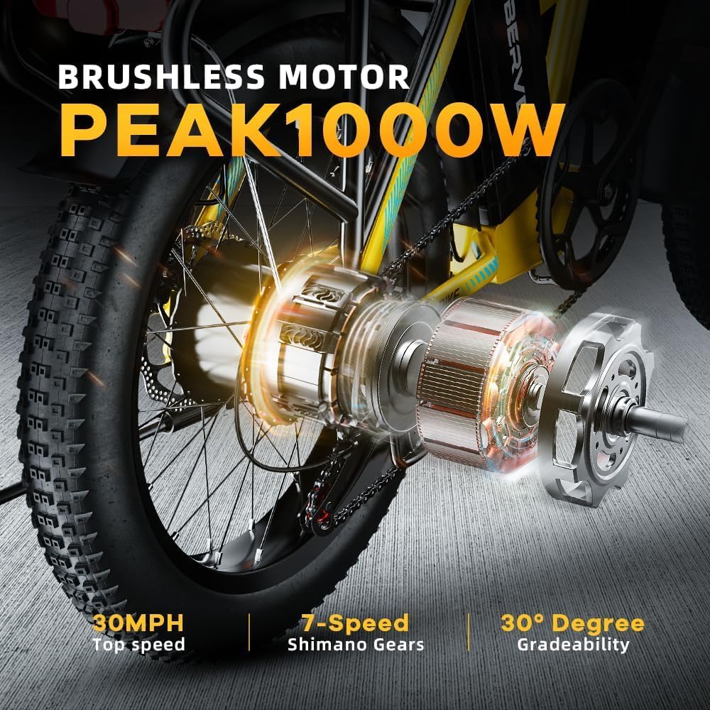 Combo-EK4+Mars700 Folding Ebike
