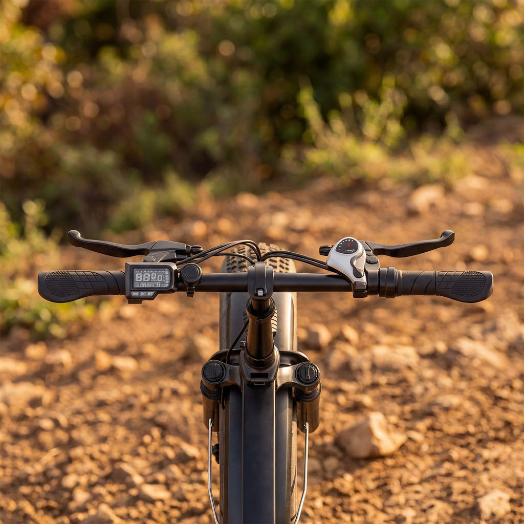 Combo-EK4+Mars700 Folding Ebike